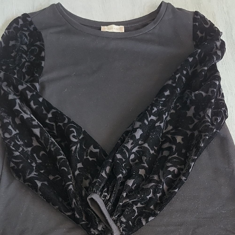 Elegant Black Velvet Sleeve Top
